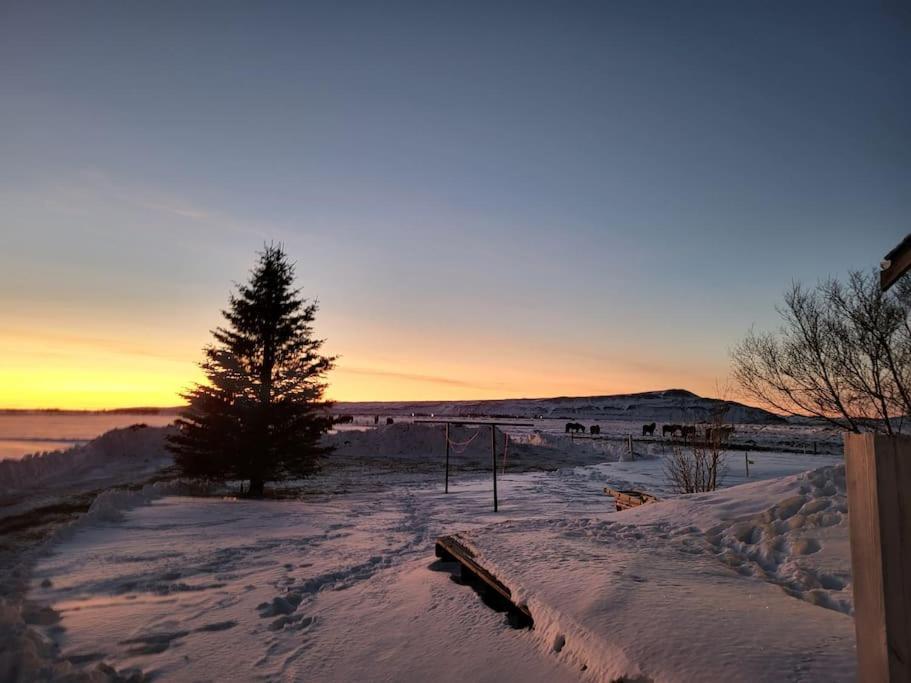 Вилла Sibbu Hus Brjansstadir Экстерьер фото